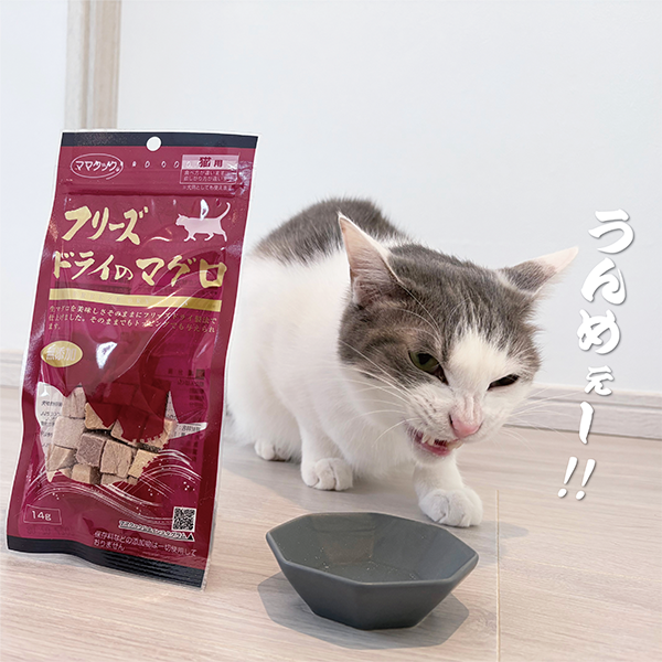 【猫用おやつ】フリーズドライのマグロ（14g）