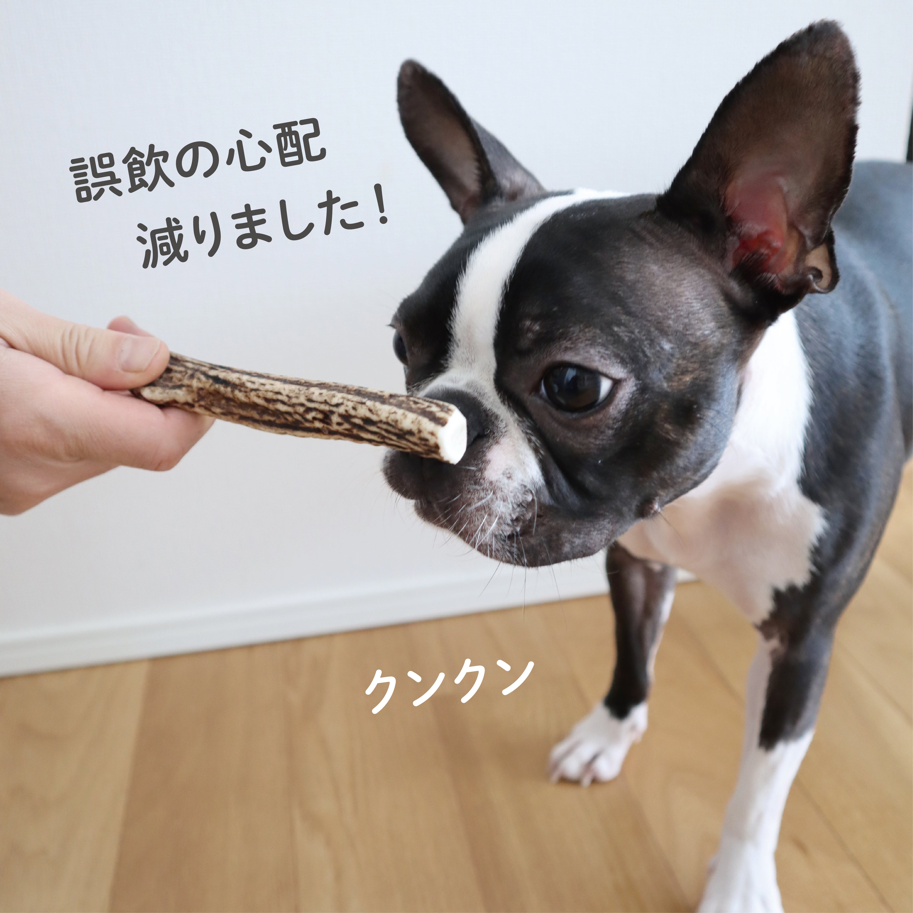 【無添加・犬用ドッグガム】鹿角かみかみ習慣