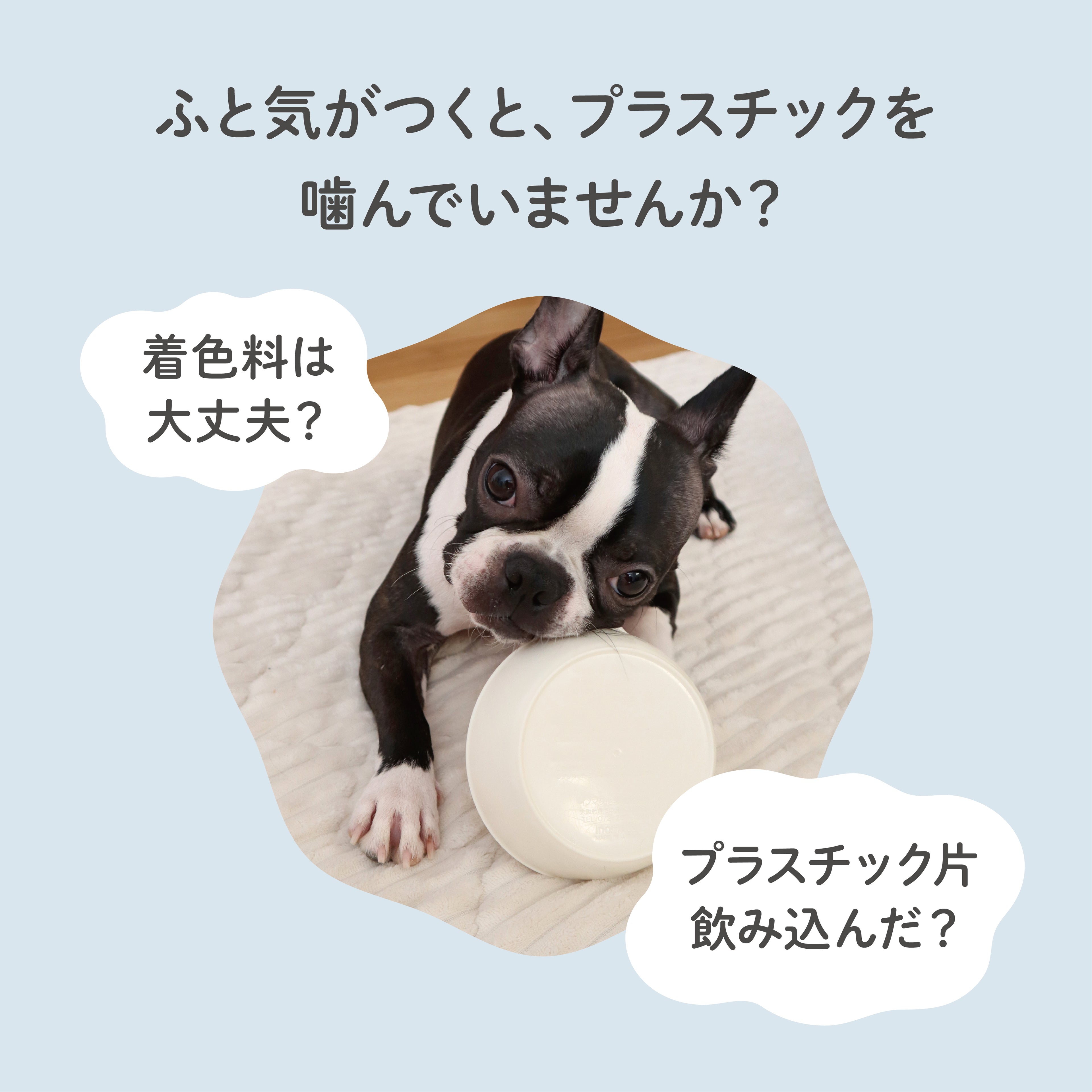 【無添加・犬用ドッグガム】鹿角かみかみ習慣