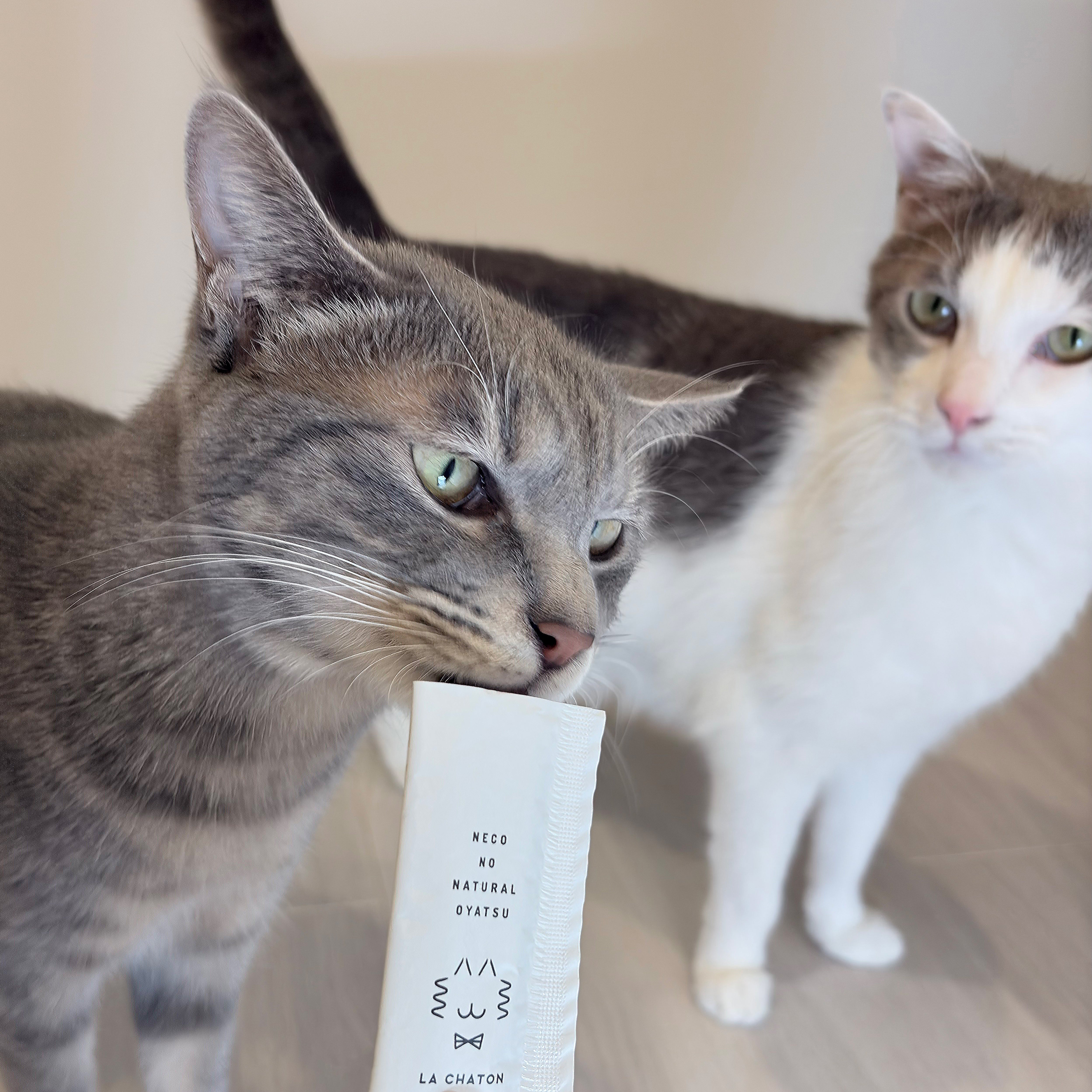 犬猫用おやつ】極上ナチュラルチキンペースト – Lien Pawture
