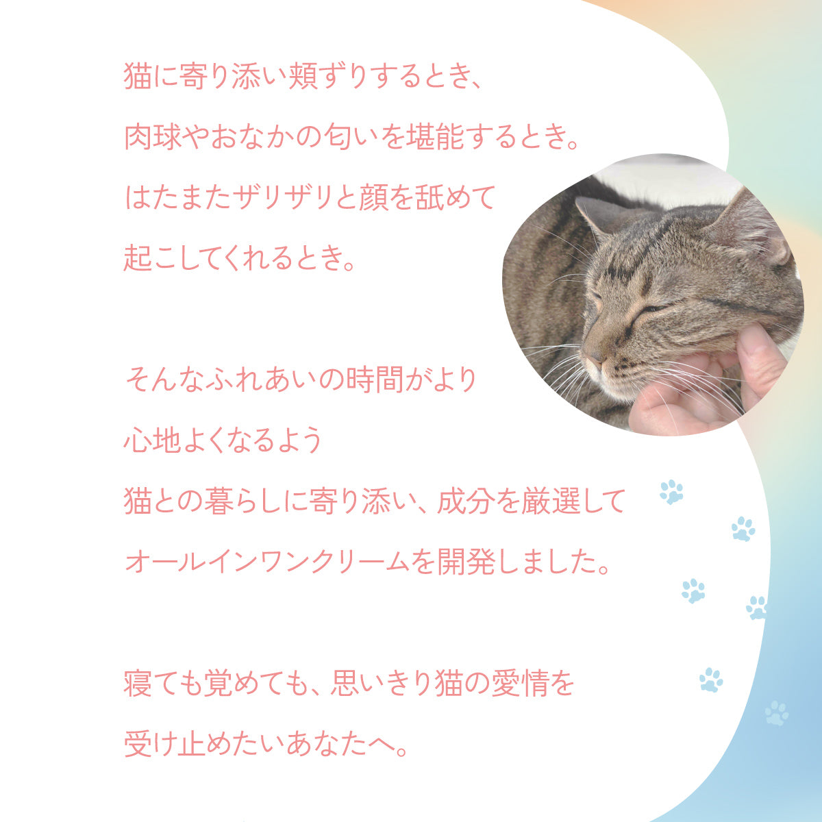 【猫と暮らす人のための】<br> オールインワン保湿クリーム [化粧水・乳液・美容液]（50g）