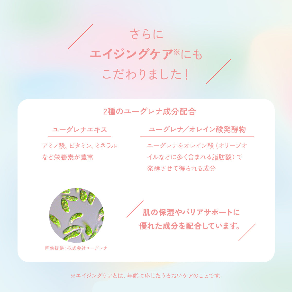 【猫と暮らす人のための】<br> オールインワン保湿クリーム [化粧水・乳液・美容液]（50g）